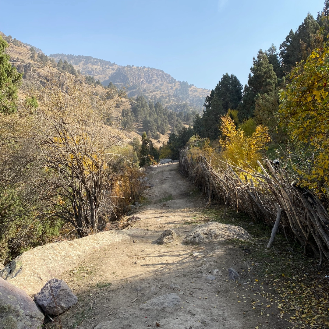 Лашкерек - фото 2